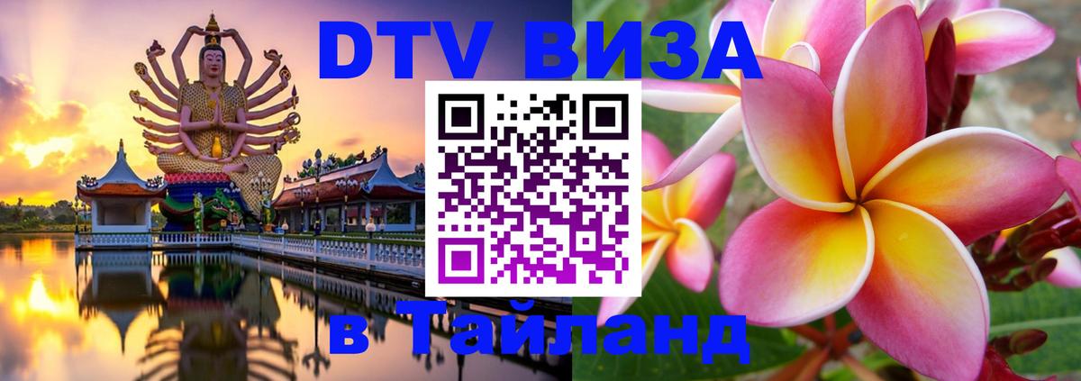 Оформление DTV визы под ключ: стоимость и тарифы, только загранпаспорт - Чебоксары  05.10.2025 